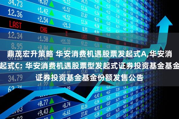 鼎茂宏升策略 华安消费机遇股票发起式A,华安消费机遇股票发起式C: 华安消费机遇股票型发起式证券投资基金基金份额发售公告