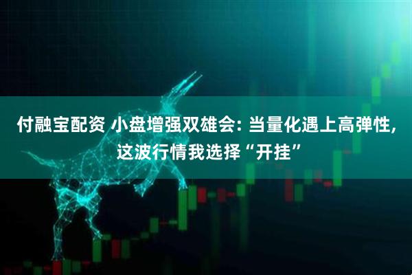 付融宝配资 小盘增强双雄会: 当量化遇上高弹性, 这波行情我选择“开挂”