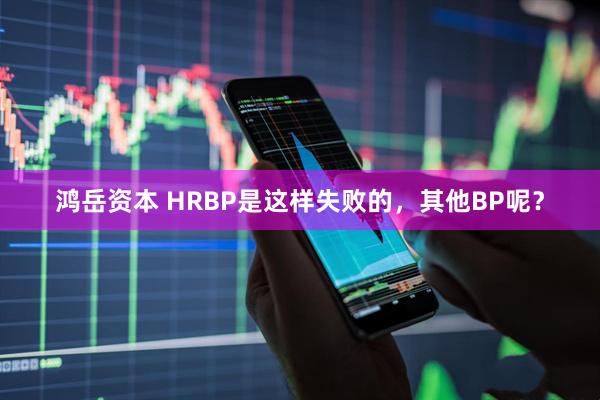 鸿岳资本 HRBP是这样失败的，其他BP呢？